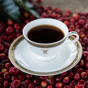 キーコーヒー 今年も初摘みトラジャの予約受付を開始