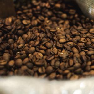 ミカフェート オンラインストアで厳選した各国のコーヒー生豆の販売を開始